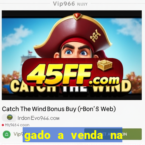 gado a venda na bahia olx